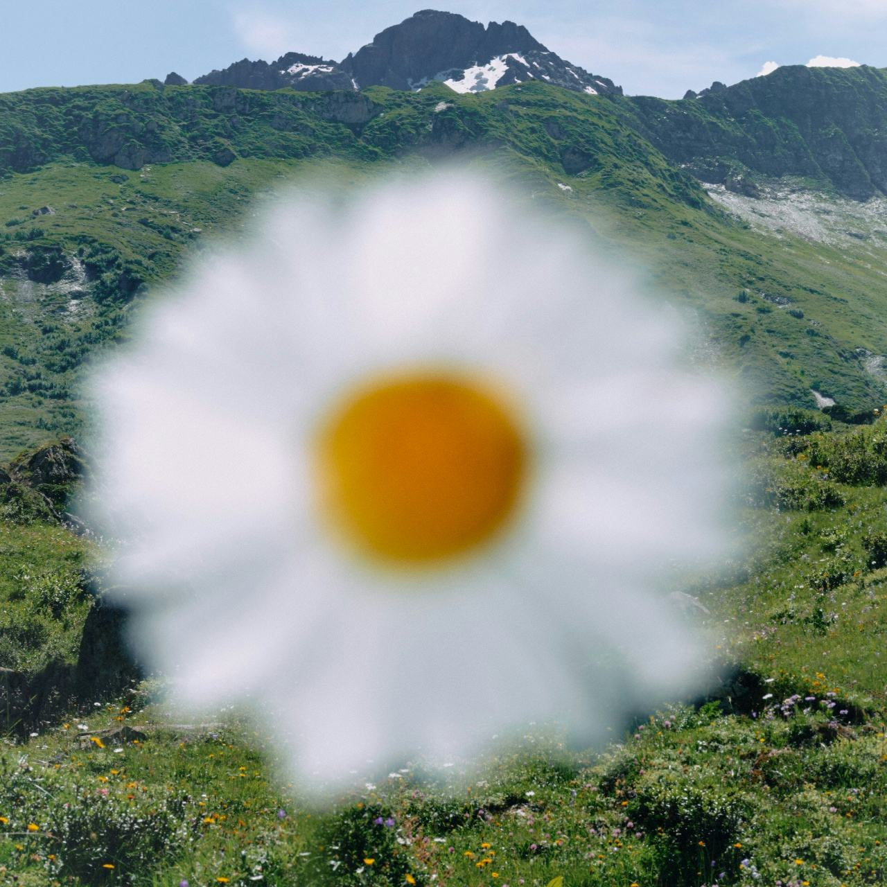 Creating Good Habits: A Path to Lasting Change