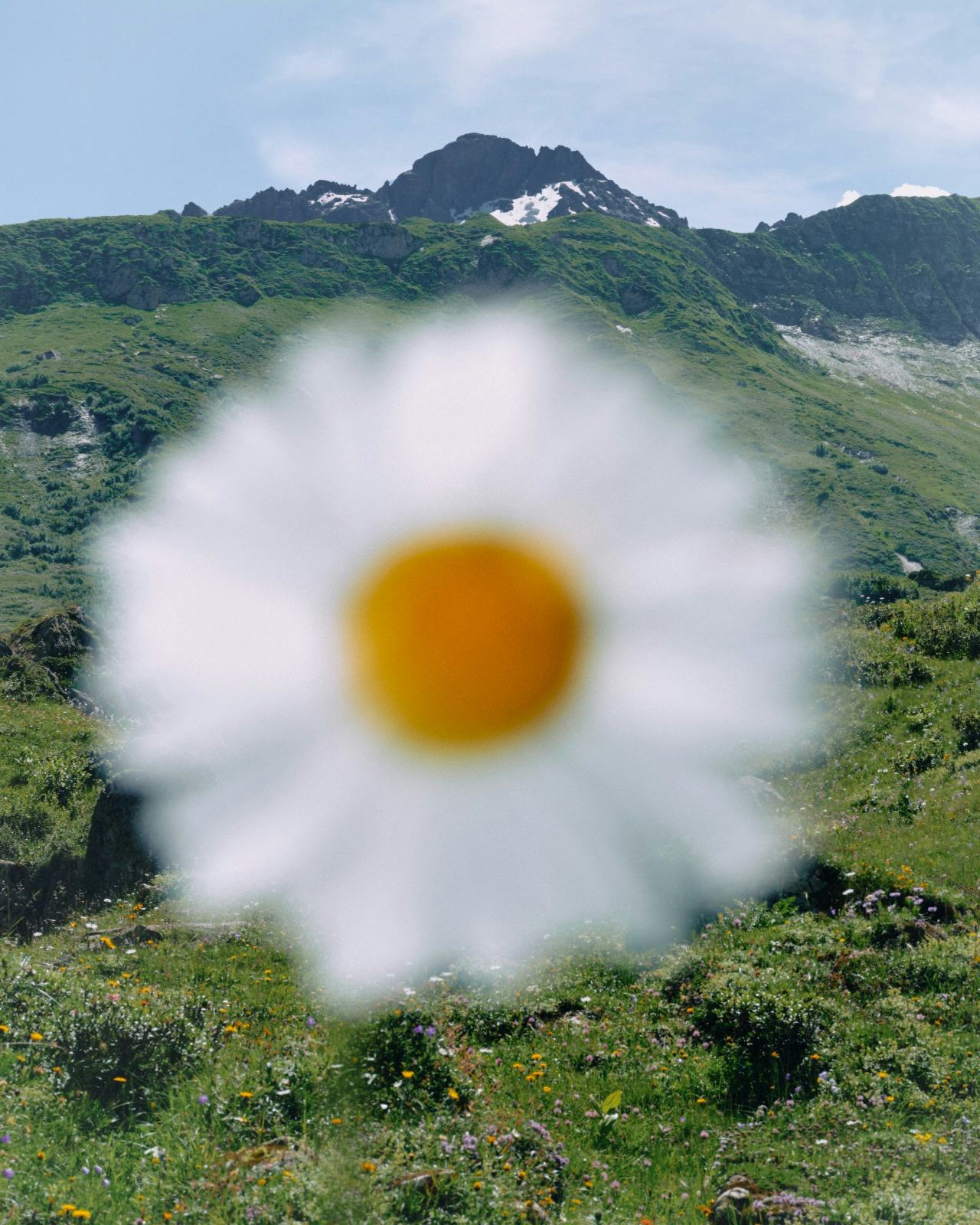 Creating Good Habits: A Path to Lasting Change