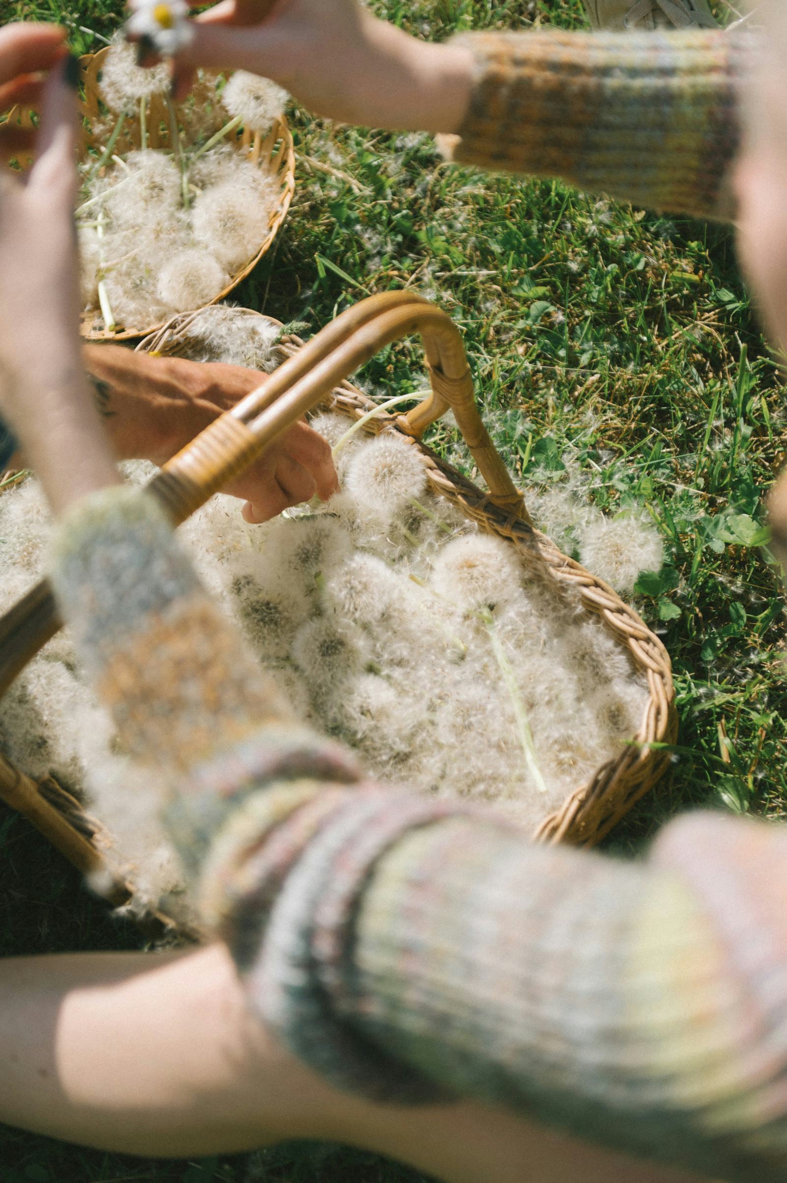 What Is Oxidative Stress—and How Does It Affect Skin?