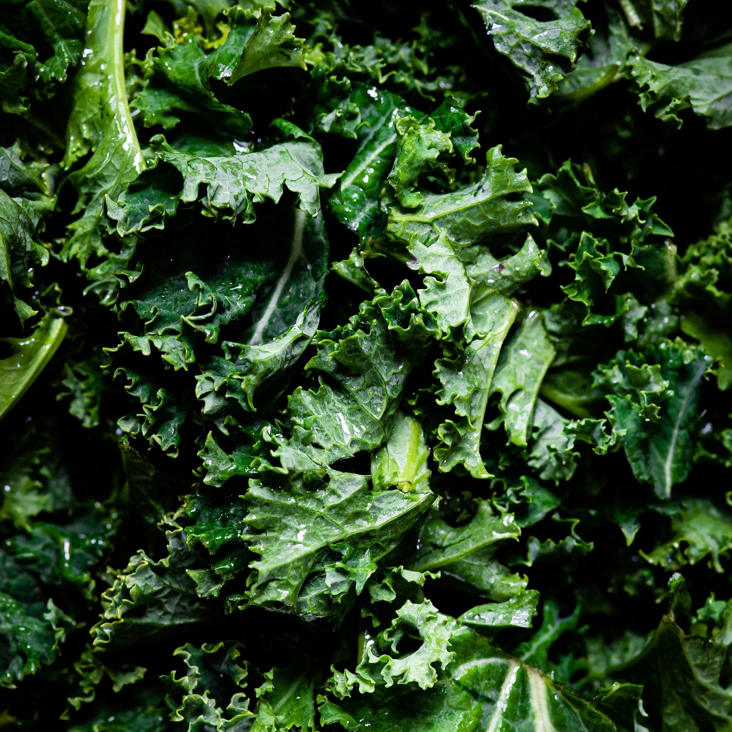Erewhon-style kale salad with Nourie infused dressing