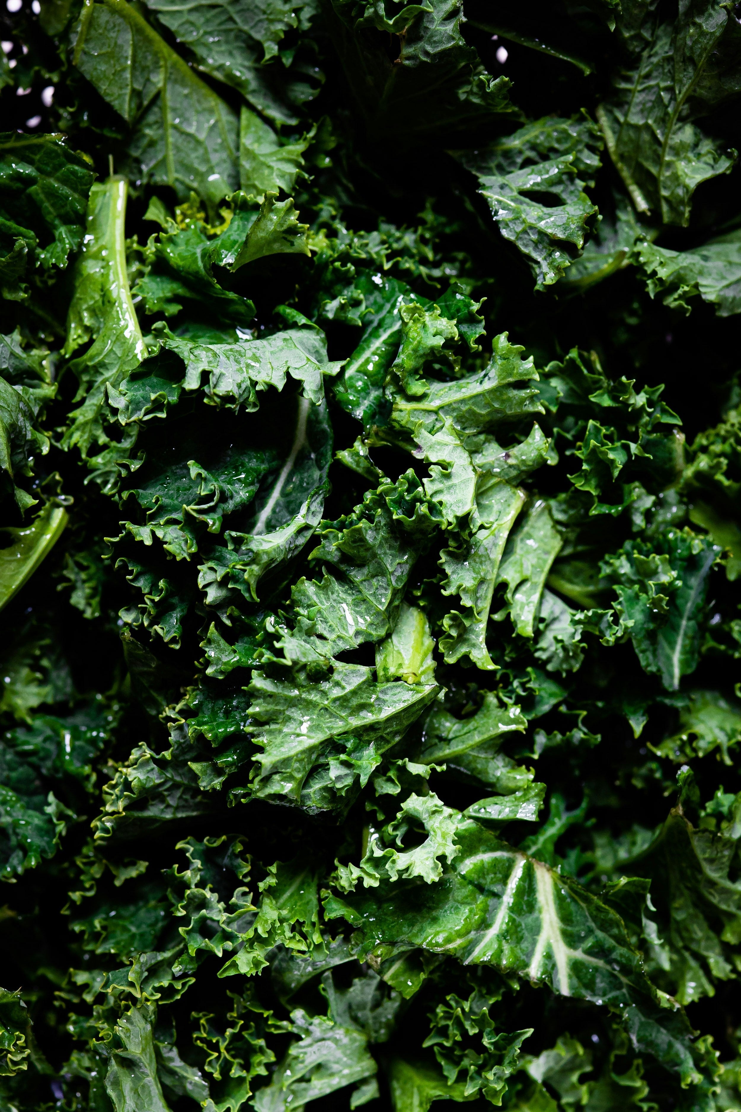 Erewhon-style kale salad with Nourie infused dressing